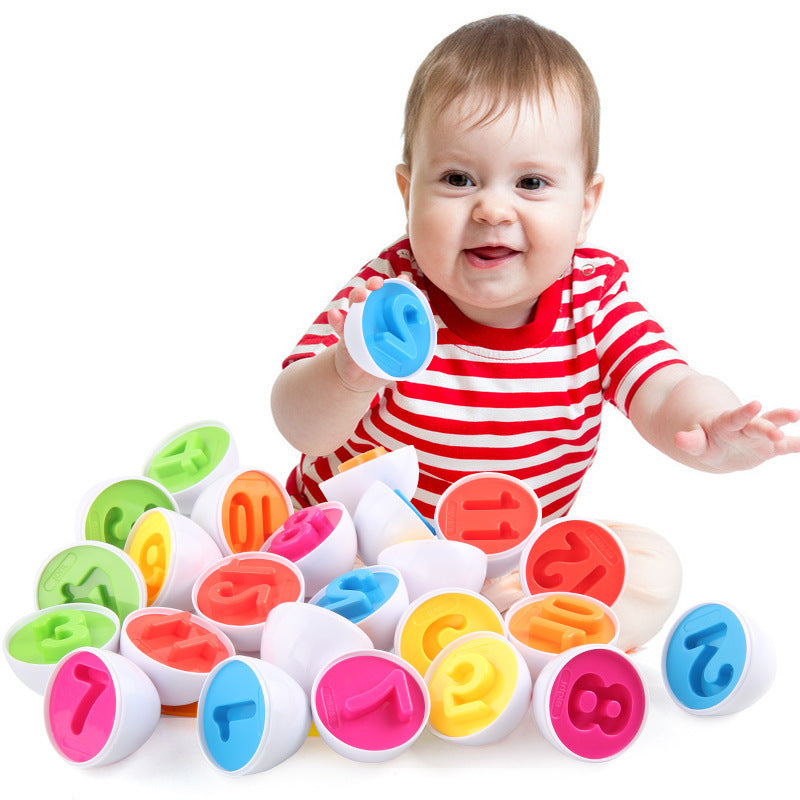 Educational Matching Eggs Toys